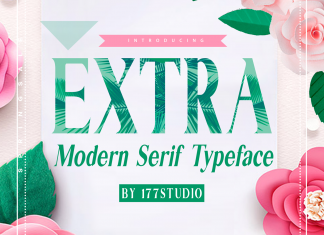 EXTRA Serif Font