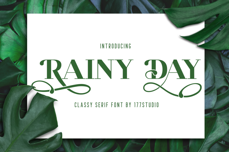 RAINY DAY Serif Font