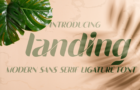 Landing - Ligature Sans Serif Font