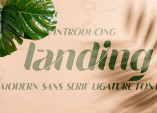 Landing – Ligature Sans Serif Font