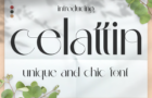 Celattin - Unique Ligature Font