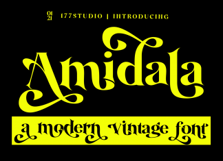Amidala – Classy Serif Font