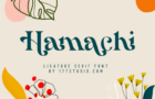 Hamachi Font