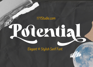 Potential – Luxury Serif Font