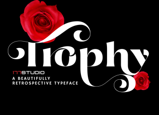 Trophy – Stylish Serif Font