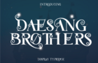 Daesang Brothers - Ligature Serif Font