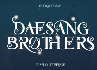 Daesang Brothers – Ligature Serif Font