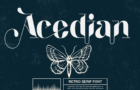 Acedian - Retro Serif Font