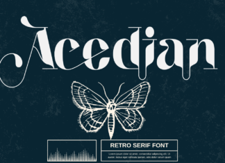 Acedian – Retro Serif Font
