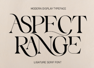 Aspect Range – Luxury Serif Font
