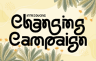 Changing Campaign Font