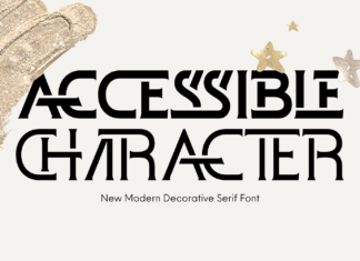 ACCESSIBLE CHARACTER FONT