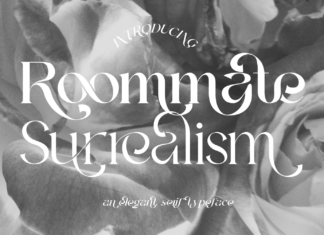 Roommate Surrealism Font