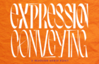 Expression Conveying Font