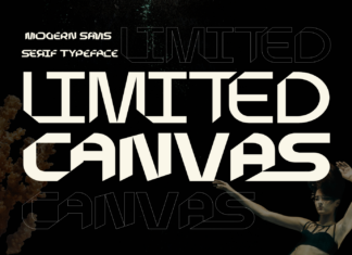 LIMITED CANVAS FONT