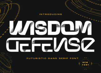 Wisdom Defense – Folded Font