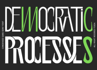 DEMOCRATIC PROCESSES Font