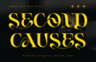 Second Causes Font