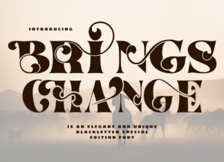 BRINGS CHANGE | Unique Serif Font