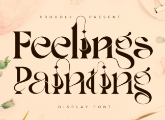 Feelings Painting | Ligature Serif Font