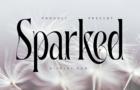 Sparked | Modern Serif Font