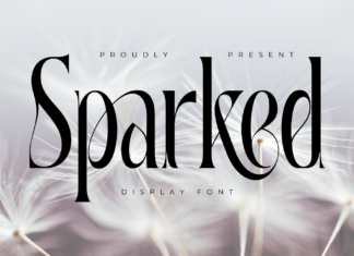 Sparked | Modern Serif Font