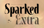 Sparked Extra - Ligature Serif Font