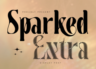 Sparked Extra – Ligature Serif Font