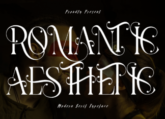 Romantic Aesthetic – Luxury Font