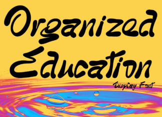Organized Education – Playful Font
