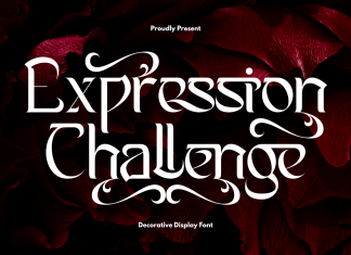 Expression Challenge – Elegant Serif Font