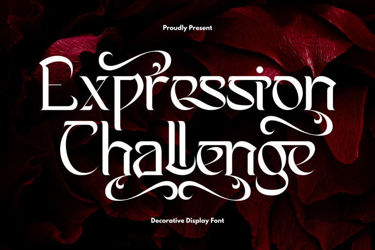 Expression Challenge - Elegant Serif Font