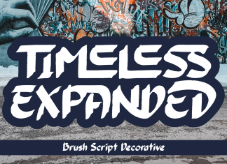 TIMELESS EXPANDED – BRUSH FONT